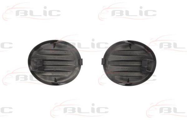 Front bumper grill Blic 6502-07-0541916P