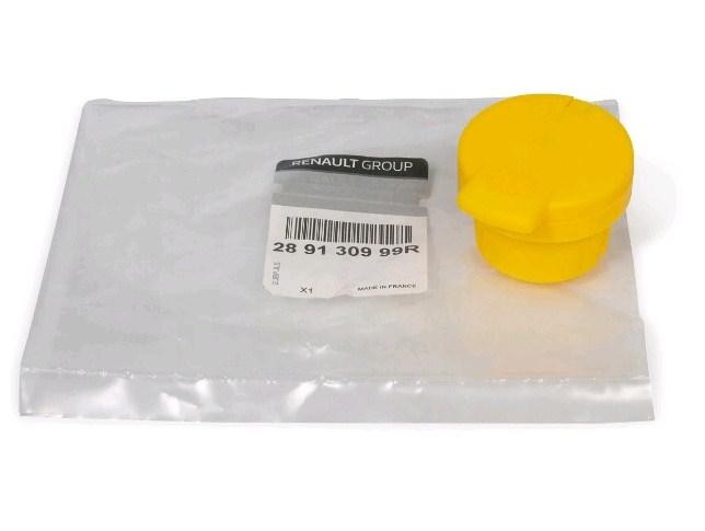 Owl tank cover Renault 28 91 309 99R