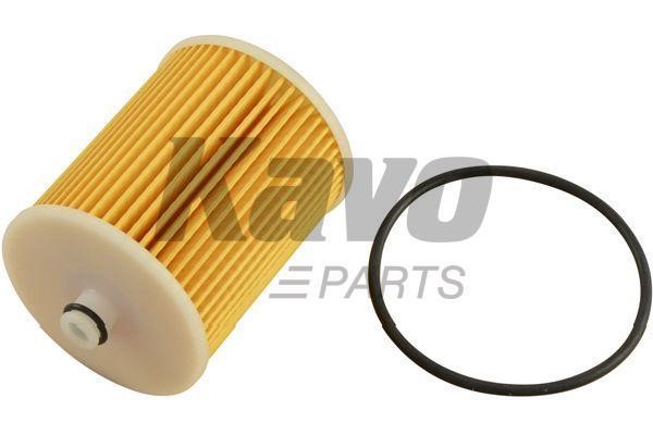 Buy Kavo parts TF-1970 at a low price in United Arab Emirates!