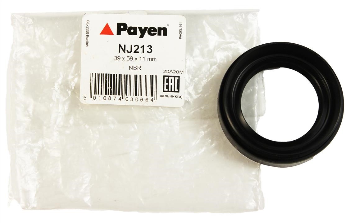 Buy Payen NJ213 at a low price in United Arab Emirates!