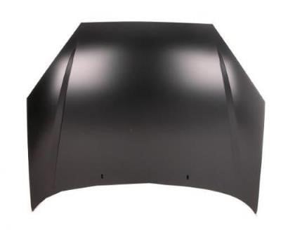 1064062 Ford Hood