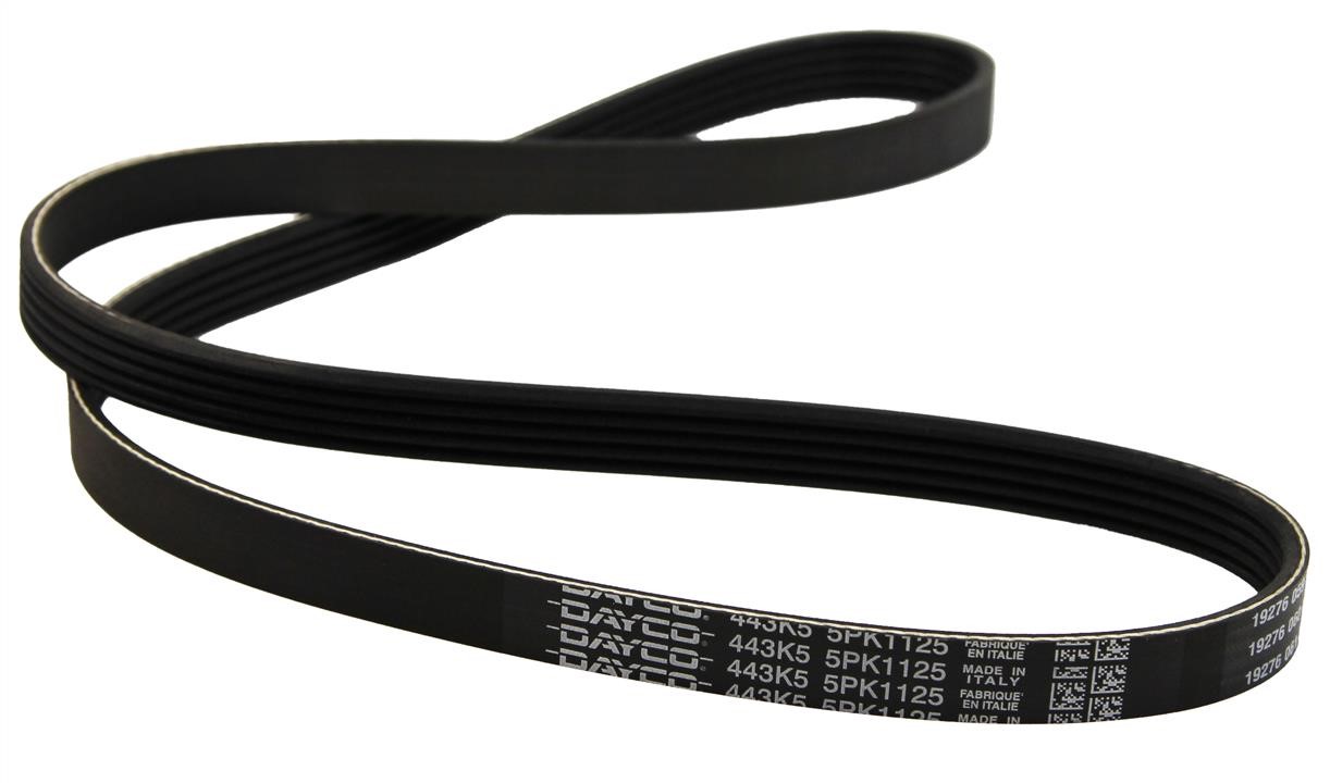 Dayco 5PK1125 V-ribbed belt 5PK1125 5PK1125
