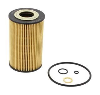 Buy Champion COF100517E at a low price in United Arab Emirates!