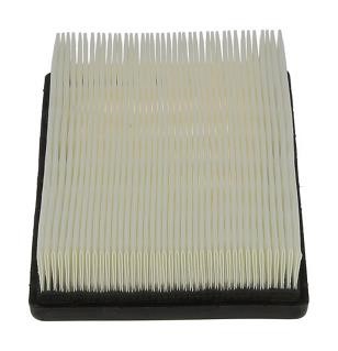Champion CAF100961P Air filter CAF100961P