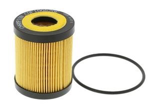 Buy Champion COF100520E at a low price in United Arab Emirates!