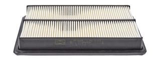 Champion CAF101029P Air filter CAF101029P