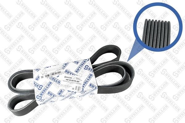 0801875SX Stellox Poly-V belt