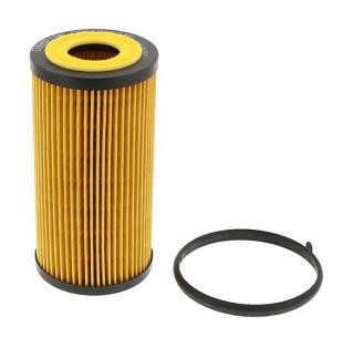 Buy Champion COF100534E at a low price in United Arab Emirates!