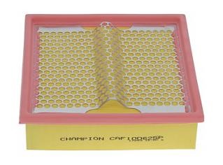 Air filter Champion CAF100625P