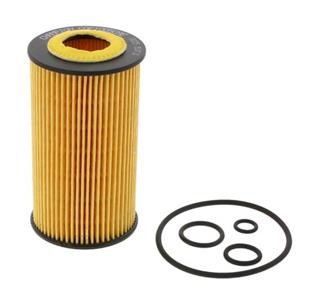 Buy Champion COF100509E at a low price in United Arab Emirates!