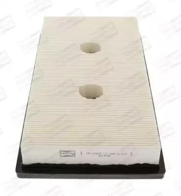 Buy Champion CAF100869P at a low price in United Arab Emirates!