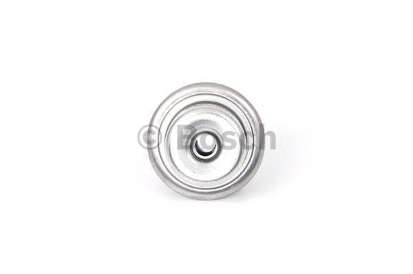 Fuel pulsation damper Bosch 0 280 160 615