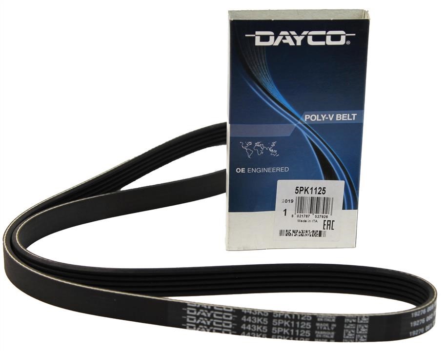 Buy Dayco 5PK1125 – good price at EXIST.AE!