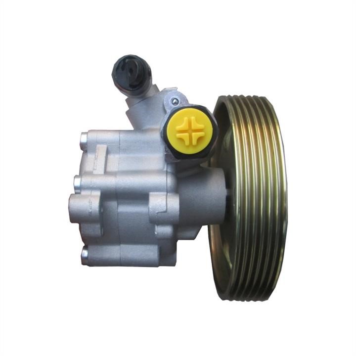 Hydraulic Pump, steering system WRC 4901524