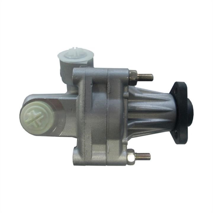 Hydraulic Pump, steering system WRC 4900038