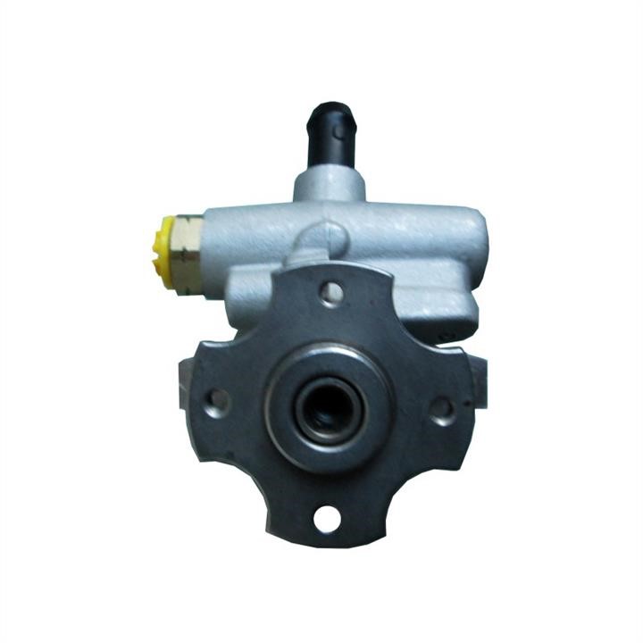 Hydraulic Pump, steering system WRC 4900318