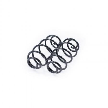 Febest 2408-003R-KIT Rear suspension spring, set 2pcs. 2408003RKIT
