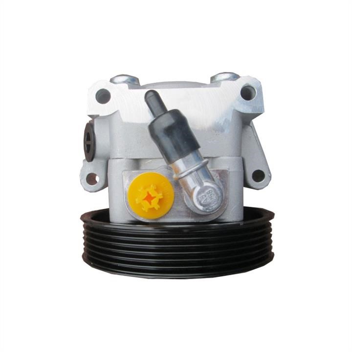 Hydraulic Pump, steering system WRC 4901285