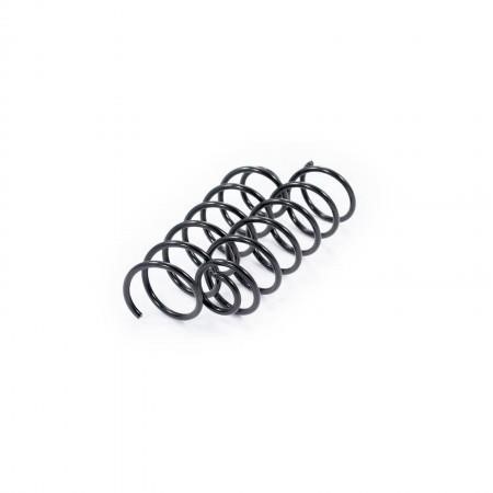 1808018RKIT Febest Rear suspension spring, set 2pcs.