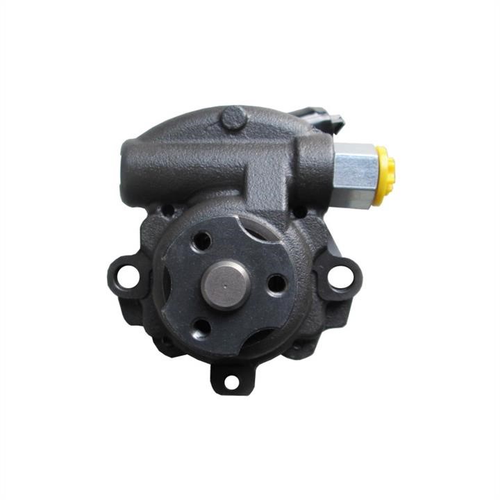 Hydraulic Pump, steering system WRC 4901428