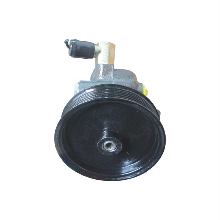 Hydraulic Pump, steering system WRC 4901427