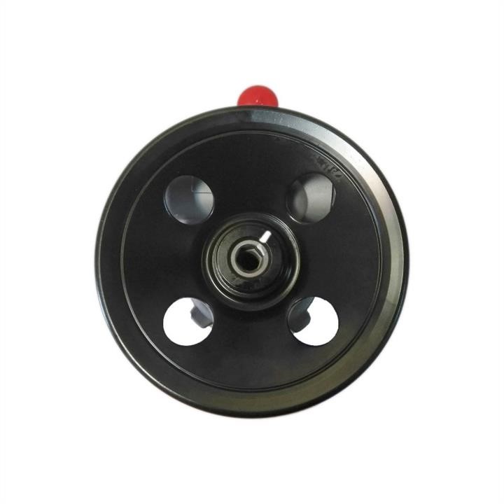 Hydraulic Pump, steering system WRC 4900981