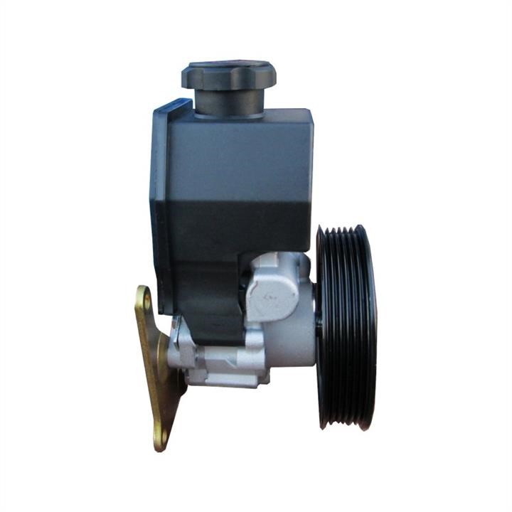 Hydraulic Pump, steering system WRC 4902901