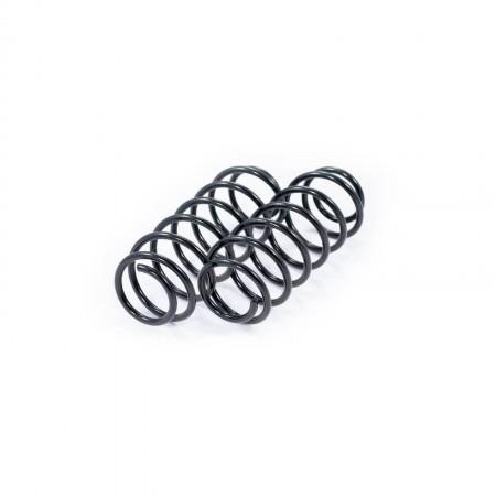 Coil spring suspension Audi 80: 1708006FKIT Febest Front suspension spring, set 2pcs.