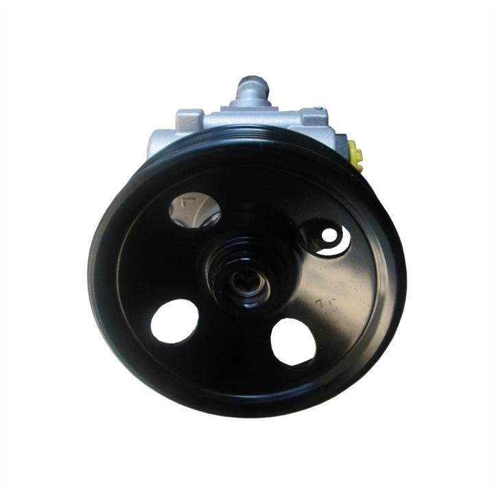 Hydraulic Pump, steering system WRC 4900975