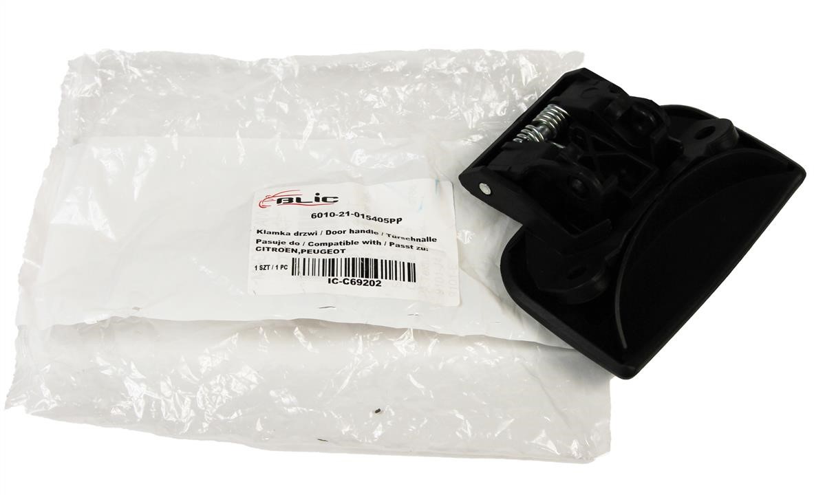 Handle-assist Blic 6010-21-015405P