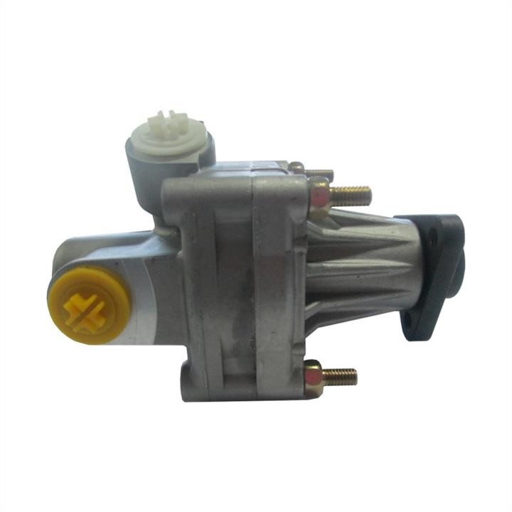Hydraulic Pump, steering system WRC 4900039