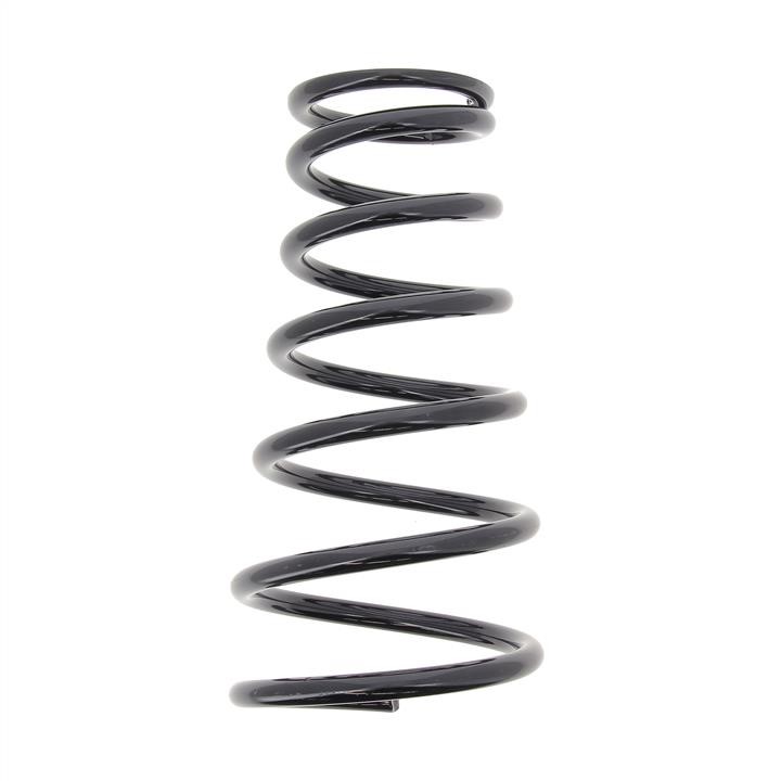 KYB (Kayaba) RI6518 Coil Spring RI6518