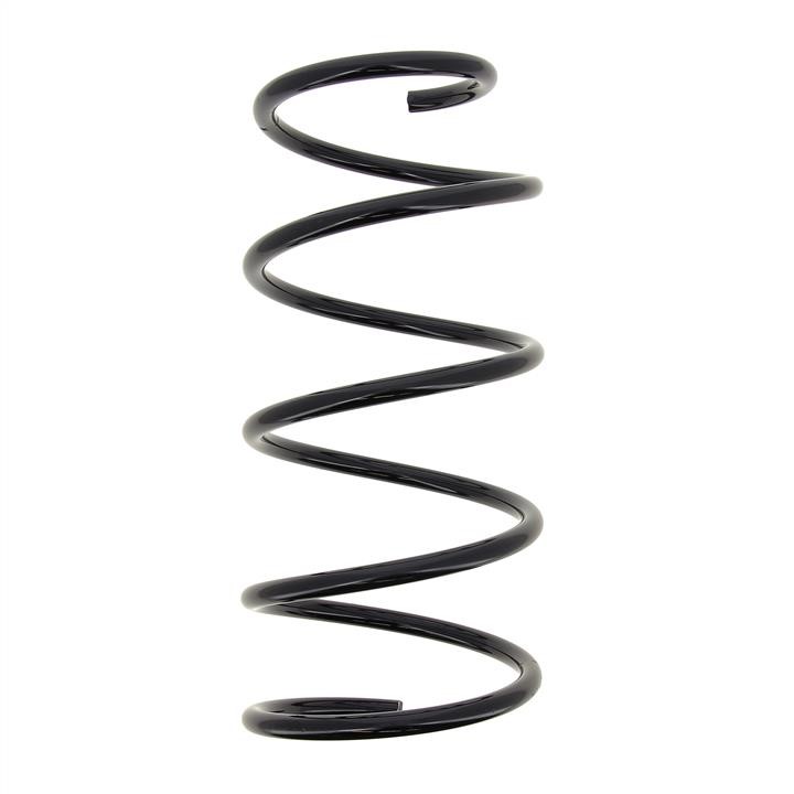 KYB (Kayaba) RA3755 Suspension spring front RA3755