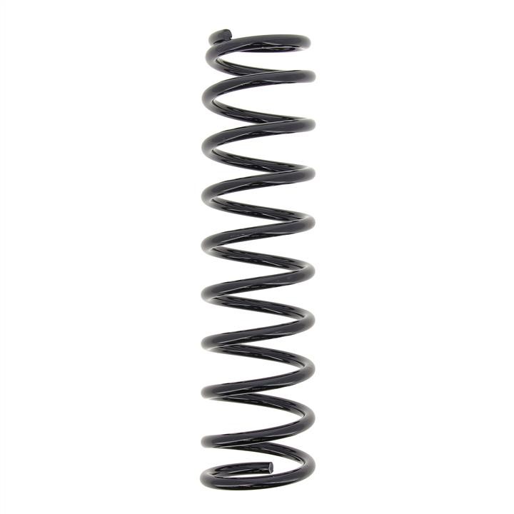 KYB (Kayaba) RC6419 Coil Spring RC6419