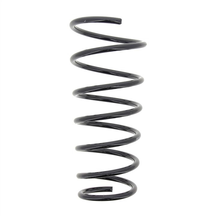 KYB (Kayaba) RI5066 Coil Spring RI5066