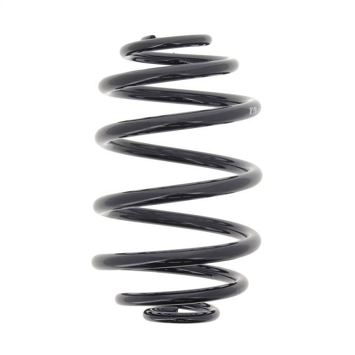 KYB (Kayaba) RJ6203 Coil Spring RJ6203