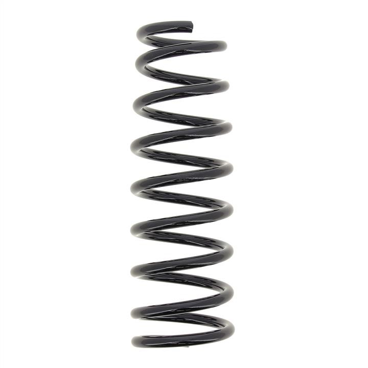 KYB (Kayaba) RA6120 Coil Spring RA6120