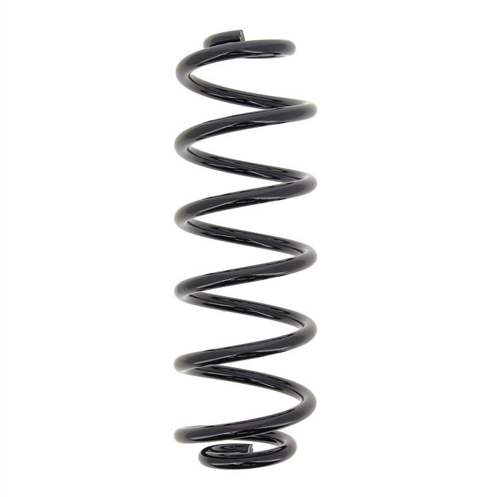 KYB (Kayaba) RA6107 Coil Spring RA6107