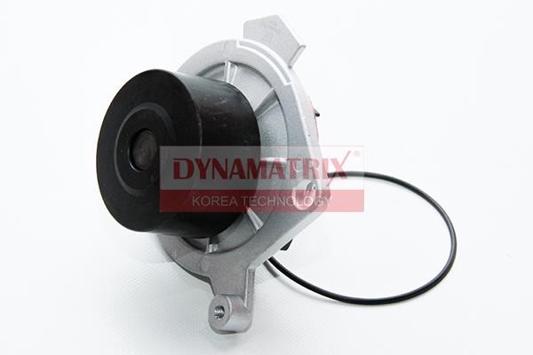 Dynamatrix DWPS210 Water pump DWPS210