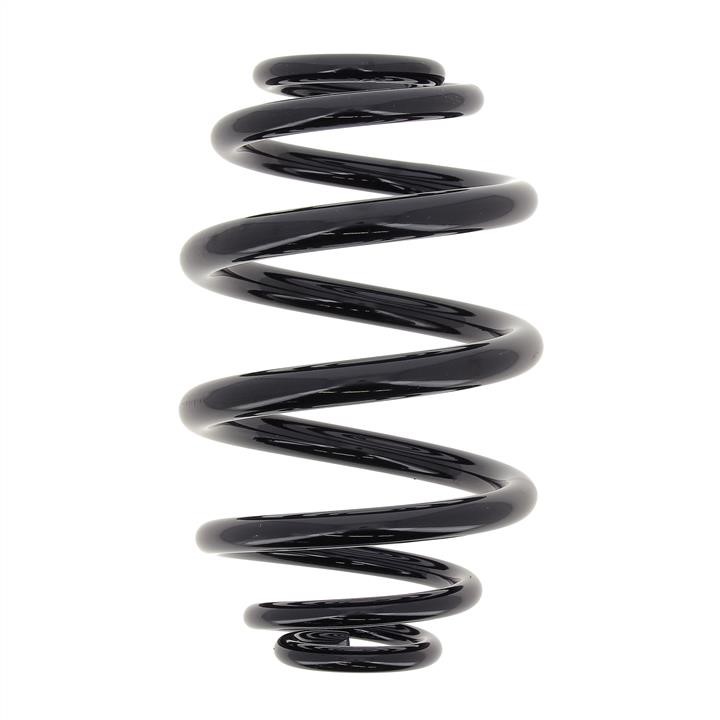 KYB (Kayaba) RJ5556 Coil Spring RJ5556