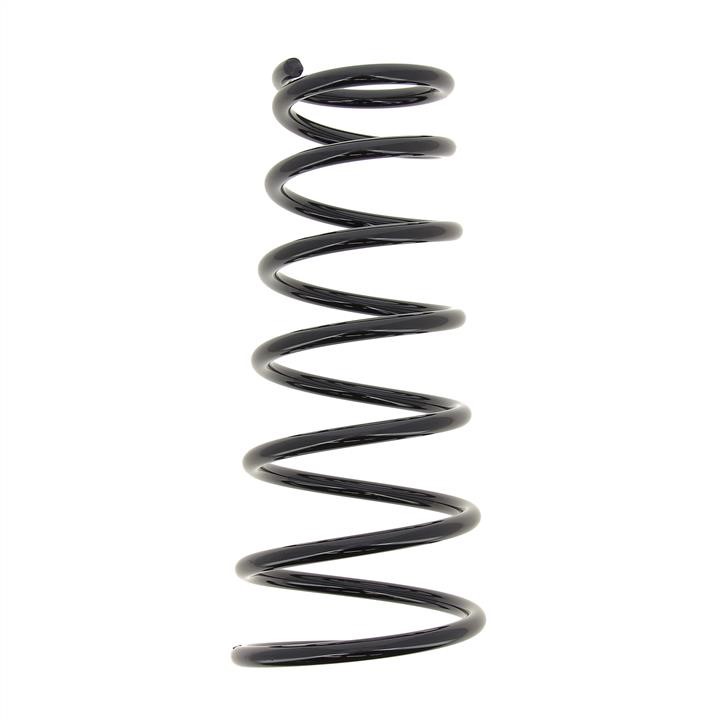 KYB (Kayaba) RI6171 Coil Spring RI6171