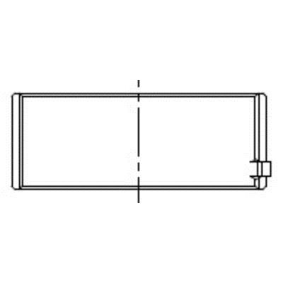 001HL21956000 Mahle/Perfect circle Insert native