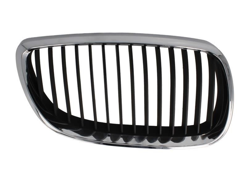 Grille radiator Blic 6502-07-00629912P