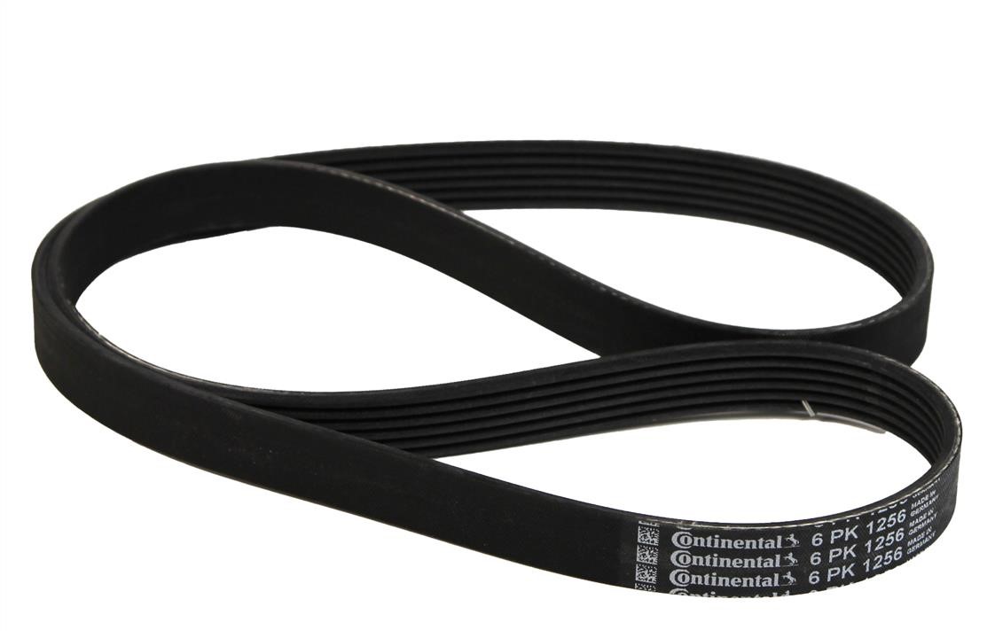 Contitech 6PK1256 V-ribbed belt 6PK1256 6PK1256