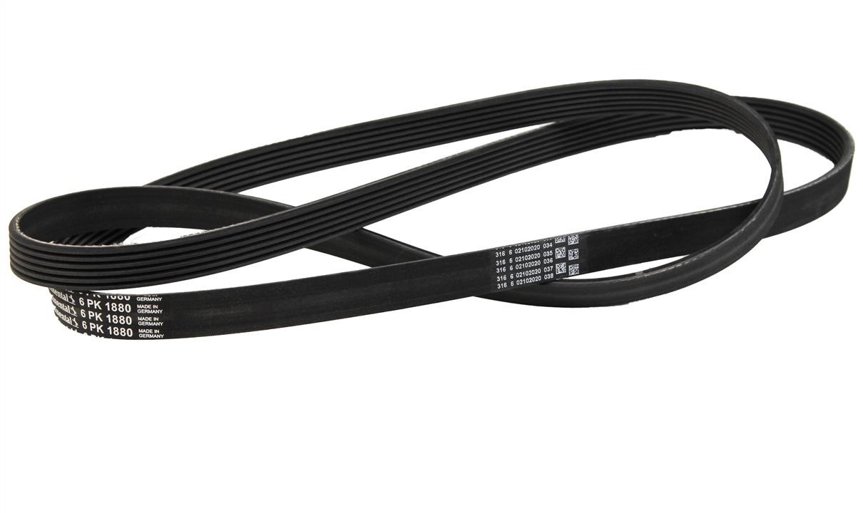 Contitech 6PK1880 V-ribbed belt 6PK1880 6PK1880