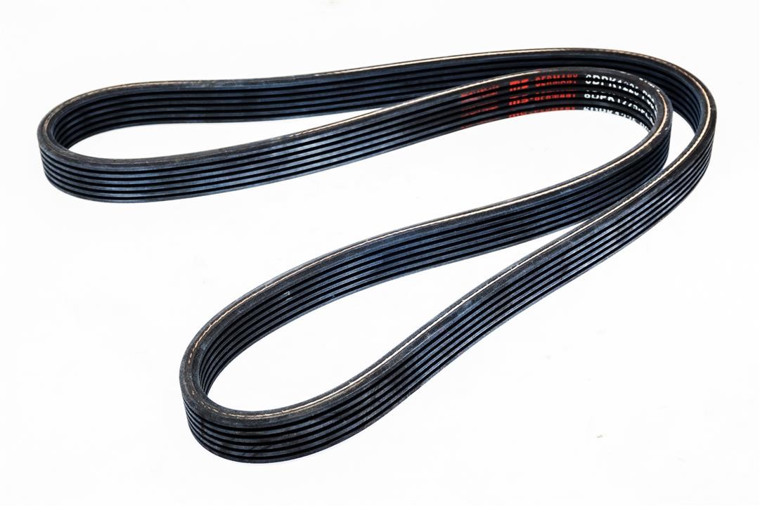 V-ribbed belt 6PK1125 Master-sport 6DPK1225-PCS-MS