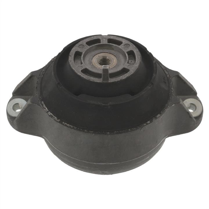 SWAG 10 13 0046 Engine mount left, right 10130046