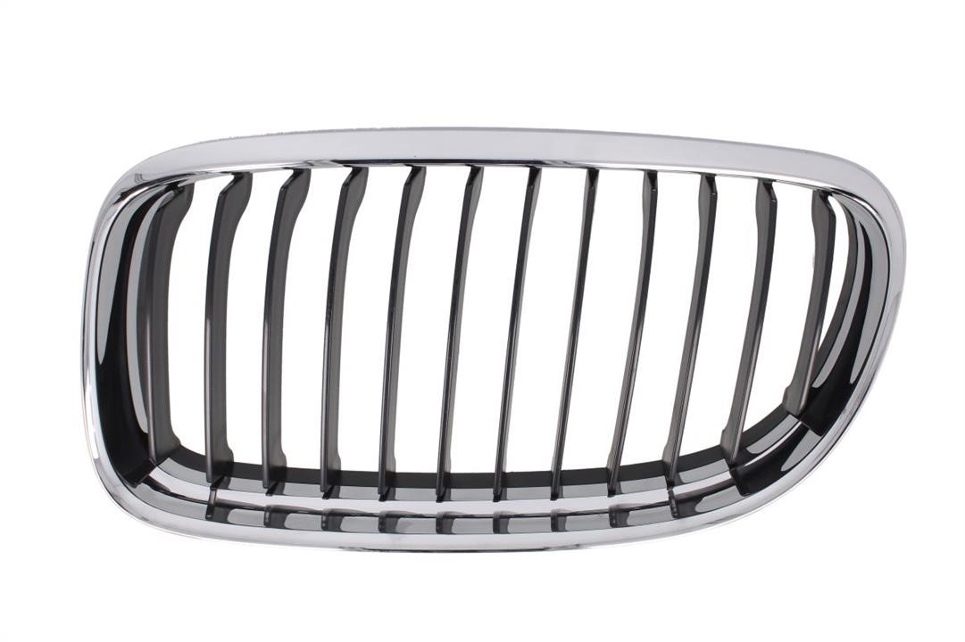 Grille radiator Blic 6502-07-0062991AP