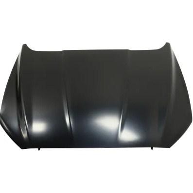 Ford DS7Z-1661-2B Hood DS7Z16612B