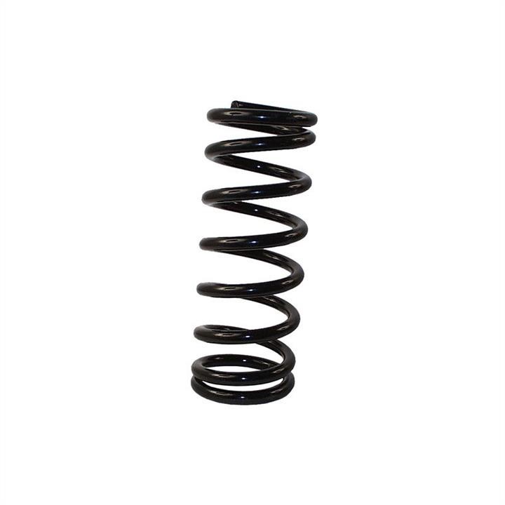 Jp Group 1142201000 Coil spring 1142201000